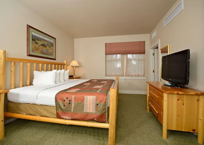 Hotel Western Plaza 3*